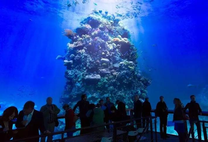 澳洲大堡礁360投影