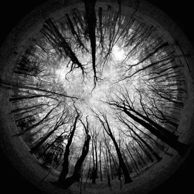 360°裸眼3D全息影像